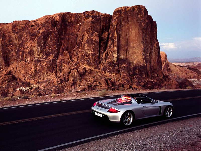 porsche_carrera gt_14